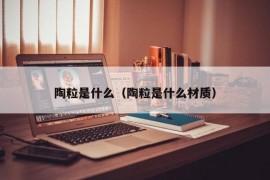 陶粒是什么（陶粒是什么材质）