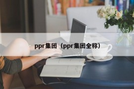 ppr集团（ppr集团全称）