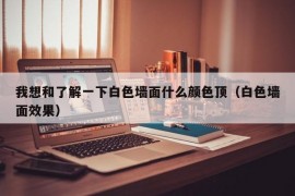 我想和了解一下白色墙面什么颜色顶（白色墙面效果）