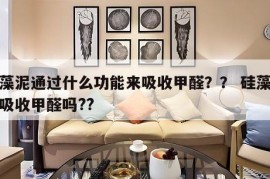 硅藻泥通过什么功能来吸收甲醛？？ 硅藻泥能吸收甲醛吗??