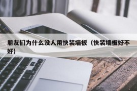 朋友们为什么没人用快装墙板（快装墙板好不好）