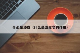 什么是漆皮（什么是漆皮皂的作用）