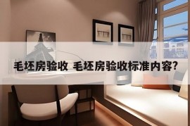 毛坯房验收 毛坯房验收标准内容?