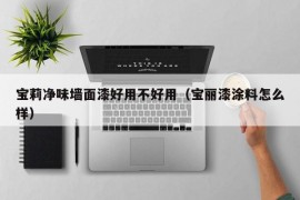 宝莉净味墙面漆好用不好用（宝丽漆涂料怎么样）