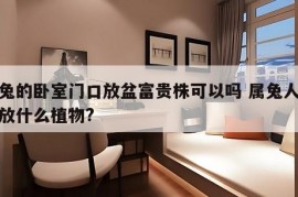 属兔的卧室门口放盆富贵株可以吗 属兔人卧室放什么植物?