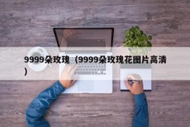 9999朵玫瑰（9999朵玫瑰花图片高清）