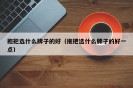 拖把选什么牌子的好（拖把选什么牌子的好一点）