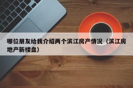 哪位朋友给我介绍两个滨江房产情况（滨江房地产新楼盘）