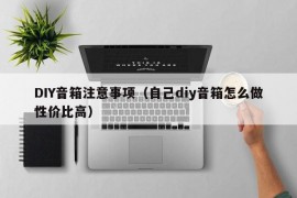 DIY音箱注意事项（自己diy音箱怎么做性价比高）