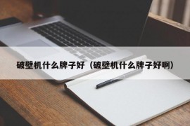 破壁机什么牌子好（破壁机什么牌子好啊）