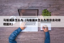 马桶漏水怎么办（马桶漏水怎么办教你自动修理图片）