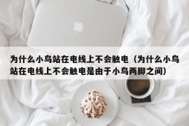 为什么小鸟站在电线上不会触电（为什么小鸟站在电线上不会触电是由于小鸟两脚之间）