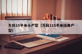 万科15平米小户型（万科115平米经典户型）