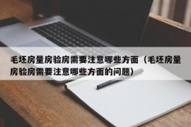 毛坯房量房验房需要注意哪些方面（毛坯房量房验房需要注意哪些方面的问题）