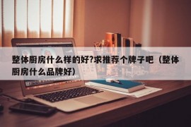 整体厨房什么样的好?求推荐个牌子吧（整体厨房什么品牌好）