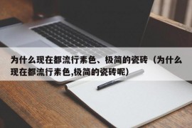 为什么现在都流行素色、极简的瓷砖（为什么现在都流行素色,极简的瓷砖呢）