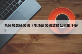 毛坯房装修装修（毛坯房装修装修公司那个好）