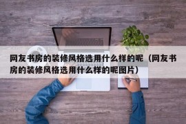 网友书房的装修风格选用什么样的呢（网友书房的装修风格选用什么样的呢图片）