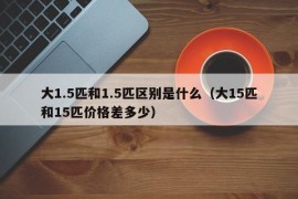 大1.5匹和1.5匹区别是什么（大15匹和15匹价格差多少）