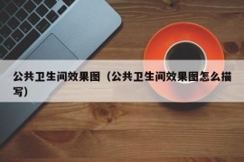 公共卫生间效果图（公共卫生间效果图怎么描写）