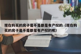 现在购买的房子是不是都是有产权的（现在购买的房子是不是都是有产权的呢）