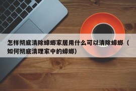 怎样彻底清除蟑螂家居用什么可以清除蟑螂（如何彻底清理家中的蟑螂）