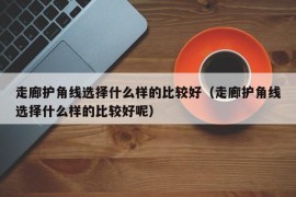 走廊护角线选择什么样的比较好（走廊护角线选择什么样的比较好呢）