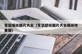 家装墙纸图片大全（家装壁纸图片大全墙纸效果图）