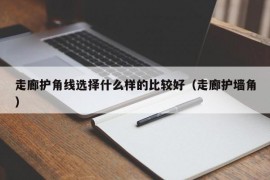 走廊护角线选择什么样的比较好（走廊护墙角）