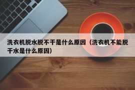 洗衣机脱水脱不干是什么原因（洗衣机不能脱干水是什么原因）