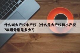 什么叫大产权小产权（什么是大产权和小产权?年限分别是多少?）