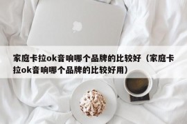 家庭卡拉ok音响哪个品牌的比较好（家庭卡拉ok音响哪个品牌的比较好用）