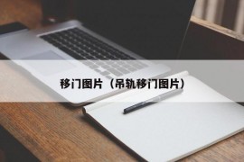 移门图片（吊轨移门图片）