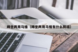 蹲坐两用马桶（蹲坐两用马桶有什么弊端）