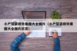 小户型装修效果图大全图片（小户型装修效果图大全图片欣赏）