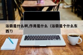 浴霸是什么啊,作用是什么（浴霸是个什么东西?）