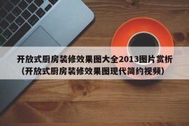 开放式厨房装修效果图大全2013图片赏析（开放式厨房装修效果图现代简约视频）