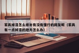 家具掉漆怎么修补有没有懂行的网友呢（家具有一点掉漆的地方怎么办）