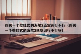 购买一个壁挂式的海尔2匹空调行不行（购买一个壁挂式的海尔2匹空调行不行呀）