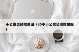 小公寓装修效果图（30平小公寓装修效果图）