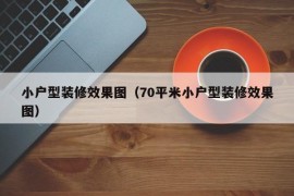 小户型装修效果图（70平米小户型装修效果图）