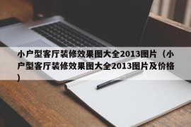 小户型客厅装修效果图大全2013图片（小户型客厅装修效果图大全2013图片及价格）