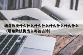 墙角数枝什么什么什么什么什么什么什么什么（墙角数枝梅出自哪首古诗）