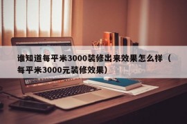 谁知道每平米3000装修出来效果怎么样（每平米3000元装修效果）