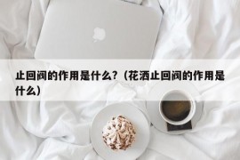 止回阀的作用是什么?（花洒止回阀的作用是什么）