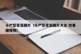 小户型家装图片（小户型家装图片大全 效果图视频）