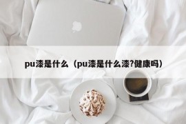 pu漆是什么（pu漆是什么漆?健康吗）