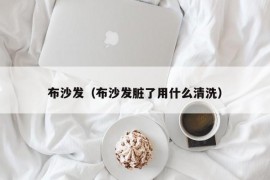 布沙发（布沙发脏了用什么清洗）