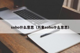 soho什么意思（万象soho什么意思）