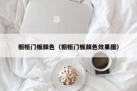 橱柜门板颜色（橱柜门板颜色效果图）